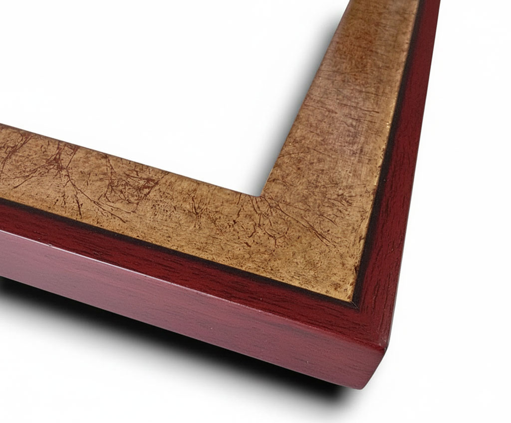 Dion Sisyphe filet et dos couleur